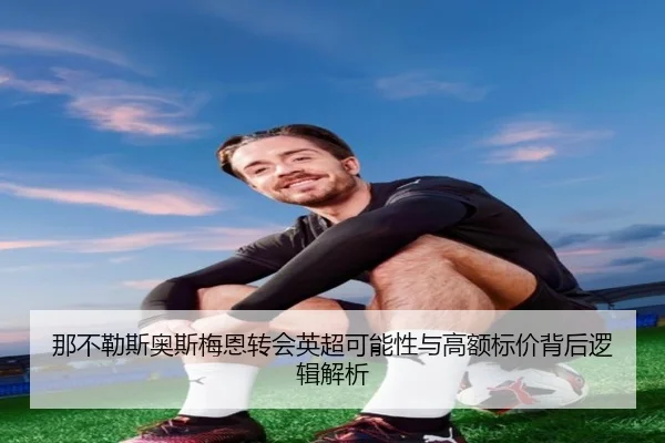 na-bu-le-si-ao-si-mei-en-zhuan-hui-ying-chao-ke-neng-xing-yu-gao-e-biao-jia-bei-hou-luo-ji-jie-xi-1-263.jpg